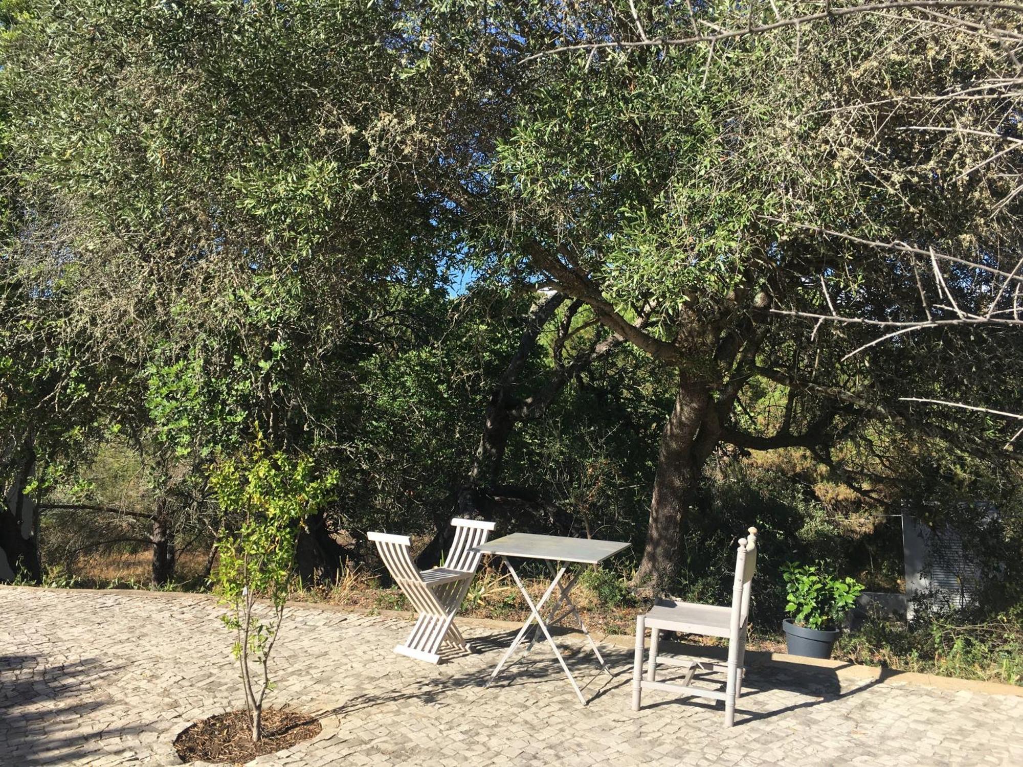 Casa Da Ti Carolina Villa Carvoeiro  Dış mekan fotoğraf
