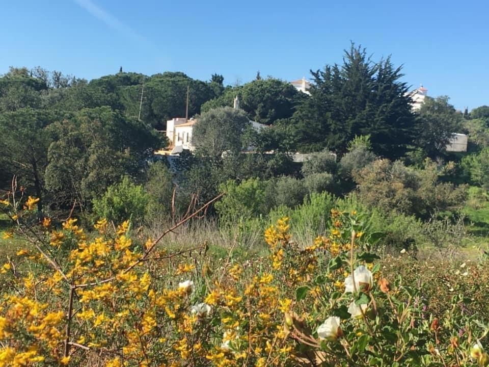 Casa Da Ti Carolina Villa Carvoeiro  Dış mekan fotoğraf
